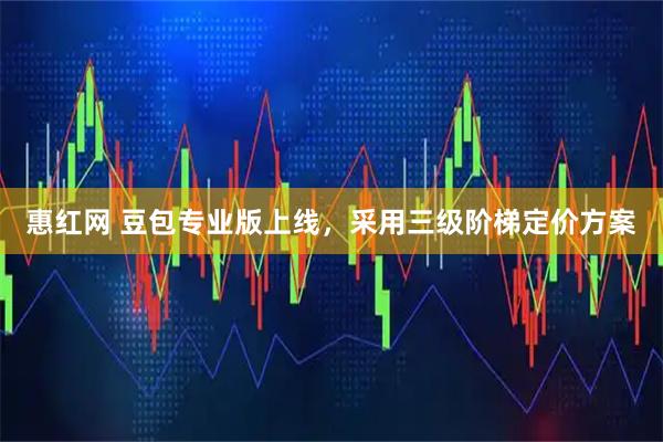 惠红网 豆包专业版上线，采用三级阶梯定价方案
